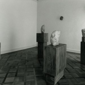 … fra l’urto dei contrasti