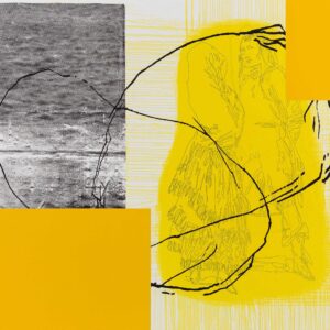 JULIÃO SARMENTO | ON GOYA
